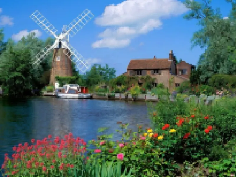 AI Image Denoiser