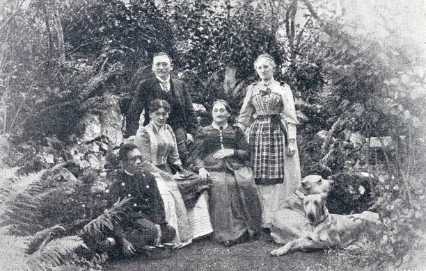 Colorize Your Old Photos