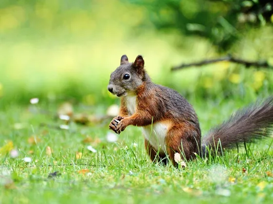 Conservación de detalles con IA