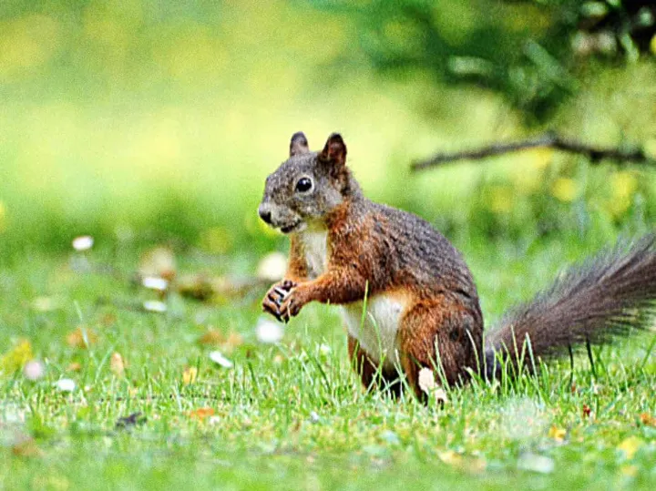 Conservación de detalles con IA