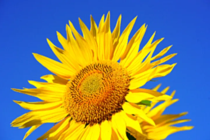 Mejora natural sin sobre-suavizado