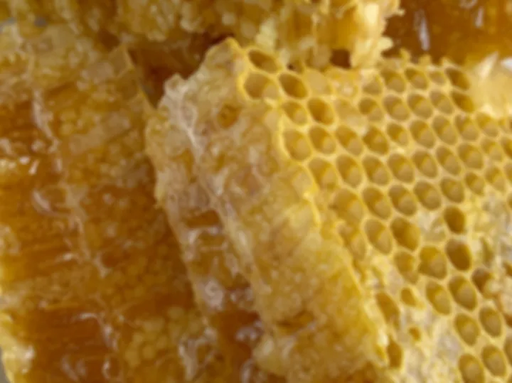 Blur remover fixing different types of photos