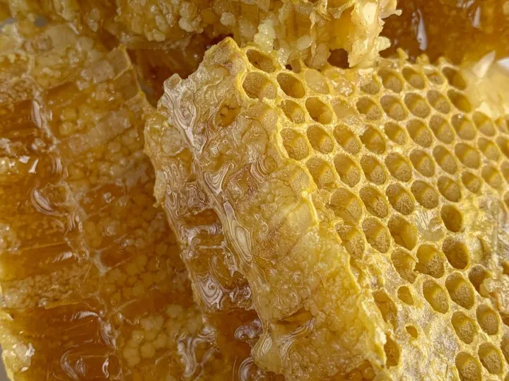 Blur remover fixing different types of photos