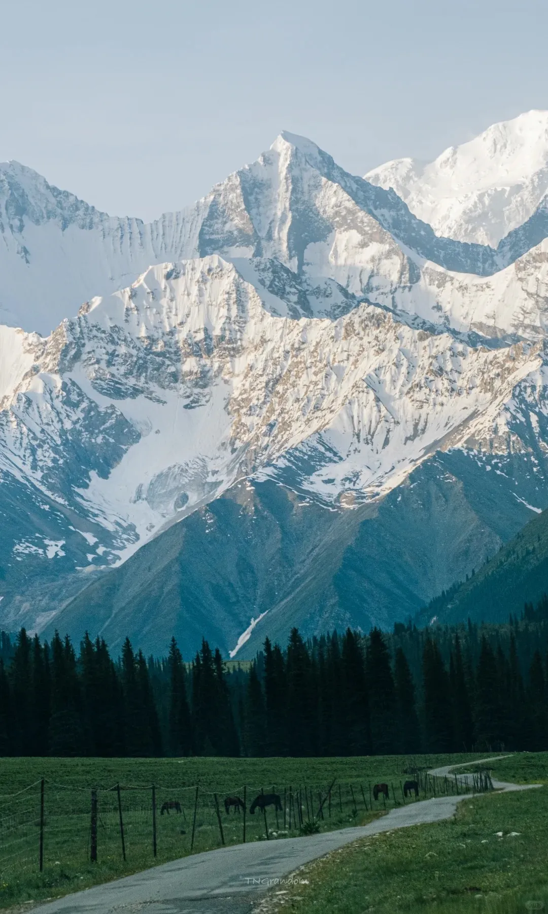 照明とスタイルを維持したAI画像拡張のビフォーアフター